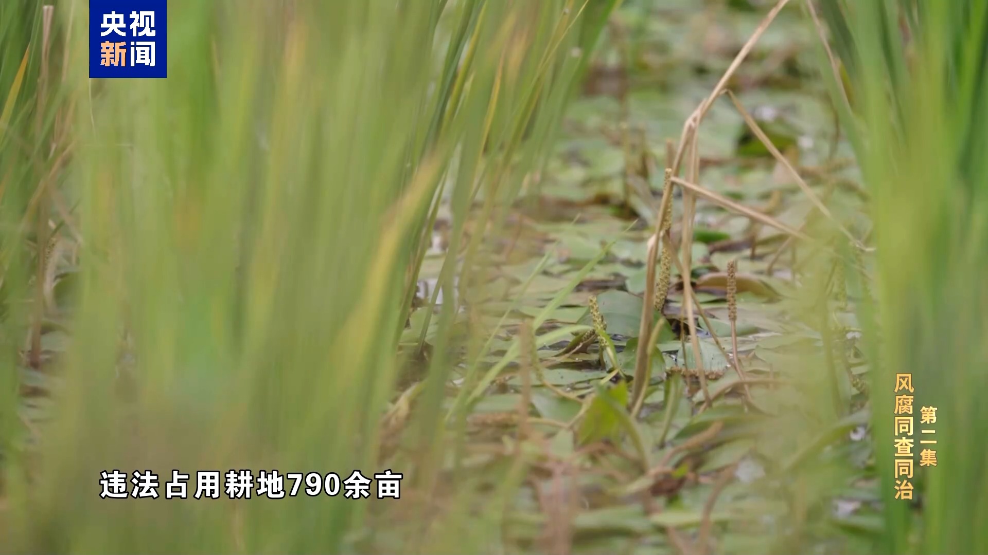 MG����(�й���)����ٷ���վ