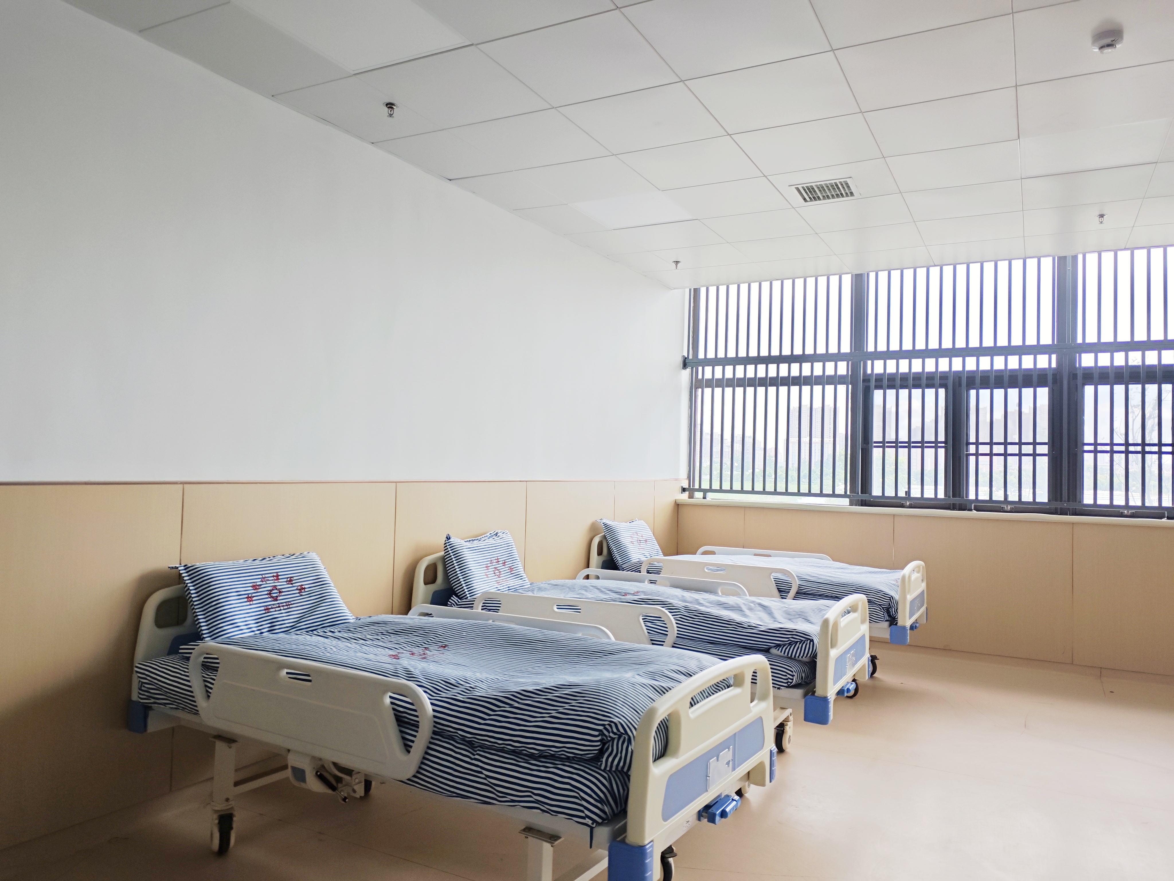 MG����(�й���)����ٷ���վ