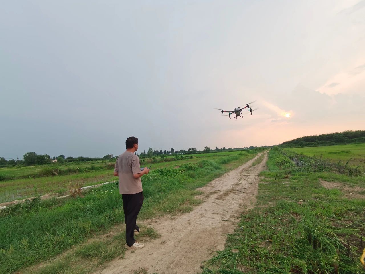 MG����(�й���)����ٷ���վ