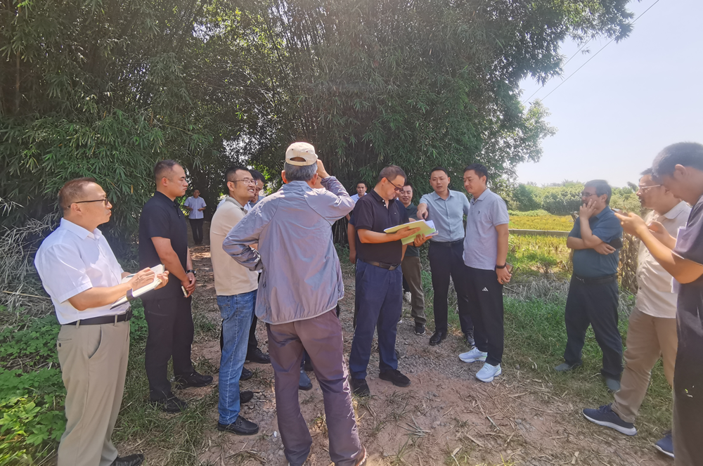 MG����(�й���)����ٷ���վ