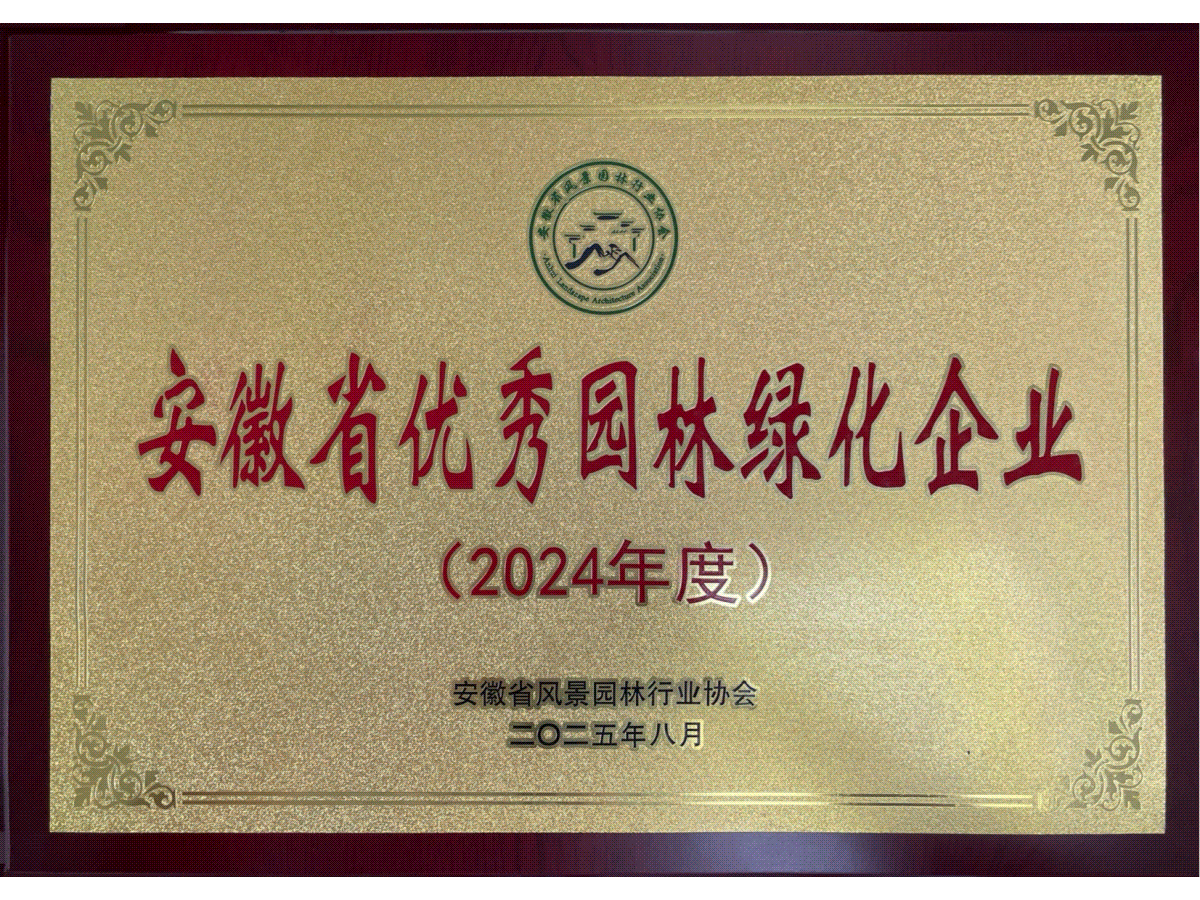 MG����(�й���)����ٷ���վ