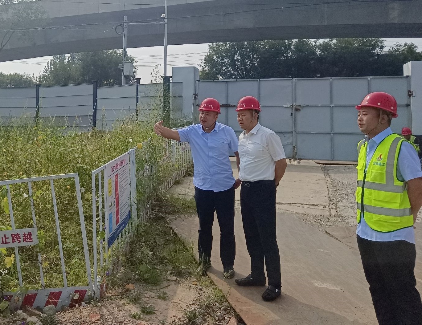 MG����(�й���)����ٷ���վ