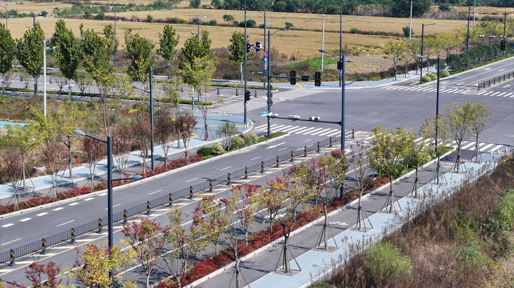 MG����(�й���)����ٷ���վ