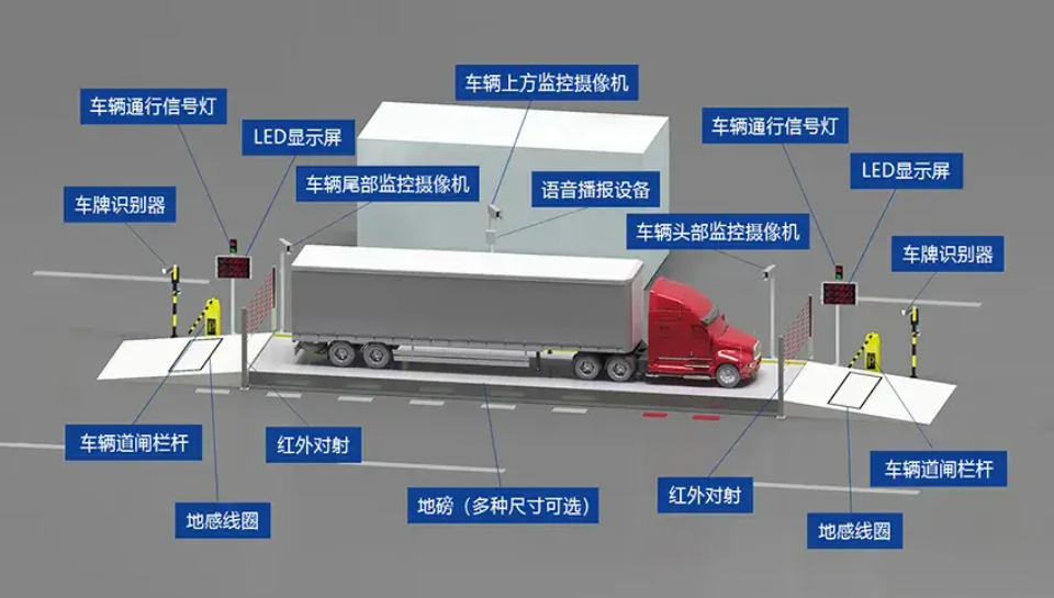 MG电子(中国游)试玩官方网站